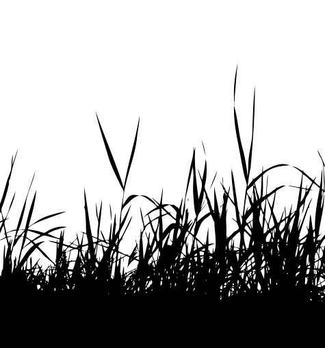 Grass Pattern Sample Image